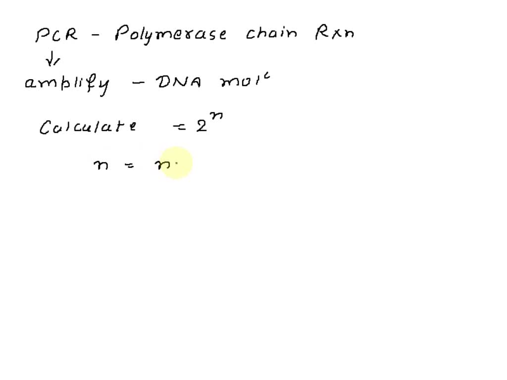 SOLVED: How many DNA molecules would there be after four rounds of PCR