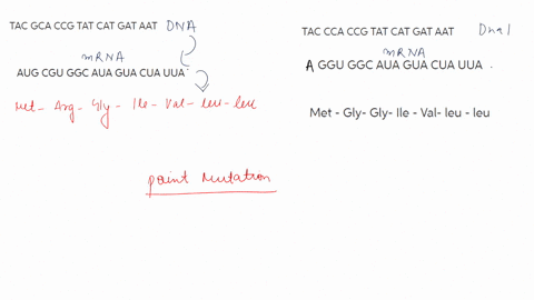 please-answer-1b-2c-and-2d-compare-the-mutated-strands-of-dna-to-the-original-template-dna-in-number-one-template-dna-sequence-with-no-mutations-tac-gca-ccg-tat-cat-gat-aat-transcribe-the-dn-47734