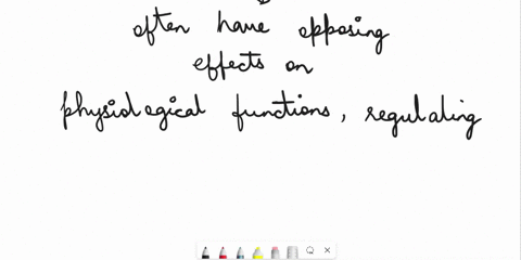 the-two-divisions-of-the-ans-normally-have-what-relationship-a-disruptive-b-mutualistic-c-antagonistic-d-synergistic-22795