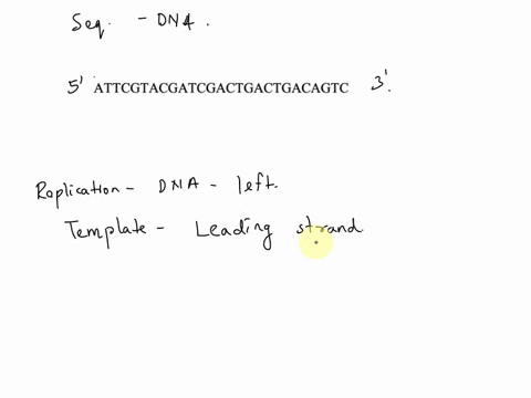 consider-the-following-segment-of-dna-in-the-standard-notation-which-is-part-of-a-much-longer-molecule-constituting-a-chromosome-attcgtacgatcgactgactgacagtc-if-the-dna-polymerase-starts-repl-60661