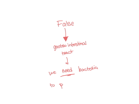 true-or-false-the-bacteria-that-live-on-you-and-in-you-are-considered-dangerous-and-it-is-important-to-keep-your-body-as-sterile-as-possible-antibacterial-solutions-eg-purell-should-be-used-65478