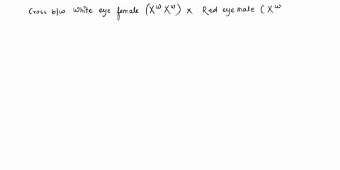 1-a-brief-discussion-on-human-chromosomes-both-male-and-female-2-explain-the-difference-between-intron-and-exon-please-answer-1-and-2-please-thank-you-79355