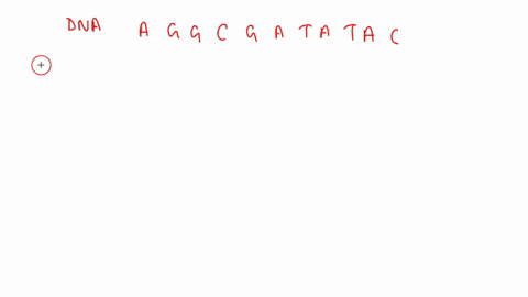 what-would-be-the-complementary-sequence-to-the-following-strand-of-dna-aggcgatatac-35464