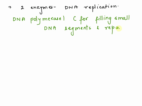 name-any-two-enzymes-of-dna-replication-and-mention-one-specific-function-function-of-each-of-them-74823
