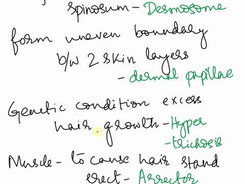matching-choices-are-used-once-more-than-once-or-not-at-all-a-epideris-stalum-basule-y-albinism-b-stratum-coneuln-adiposc-2-rcticular-region-0-dertis-aa-thaft-c-dennal-papillae-d-keratin-mcl-25545