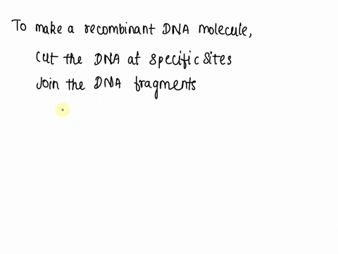 which-of-the-enzymes-from-the-following-list-would-you-need-to-make-a-recombinant-dna-molecule-what-74815