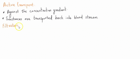 the-active-transport-of-solutes-into-the-lumen-of-an-excretory-organ-is-called-a-filtration-b-reabso-44998