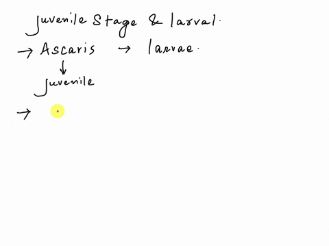 why-is-the-young-to-ascaris-called-juvenile-and-not-larva-94032
