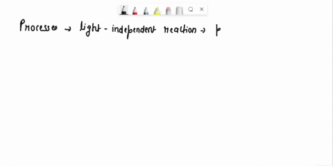 what-processes-occur-in-the-light-independent-reaction-of-photosynthesis-89606
