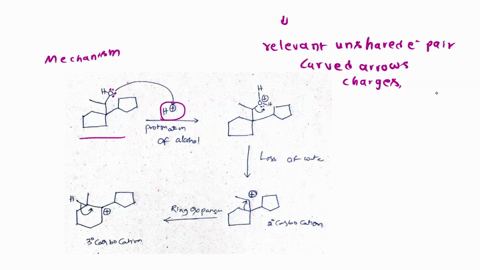 draw-step-by-step-mechanism-for-the-reaction-shown-below-make-sure-t0-draw-all-the-relevant-unshared-electron-pairs-curved-arrows-and-charges-each-is-at-least-one-point-or-more-5-pts-cat-hzs-88103