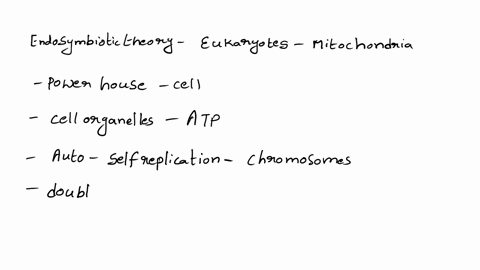 according-to-the-endosymbiotic-theory-of-the-origin-of-eukaryotic-cells-how-did-mitochondria-originate-a-when-a-protoeukaryote-engaged-in-a-symbiotic-relationship-with-a-protocell-b-from-inf-23398