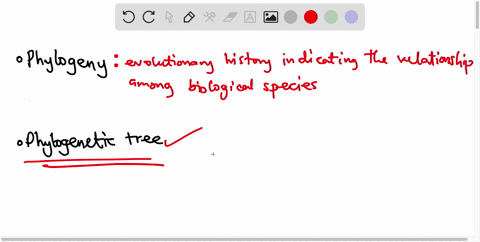 why-is-it-so-important-for-scientists-to-distinguish-between-homologous-and-analogous-characteristics-before-building-phylogenetic-trees-2