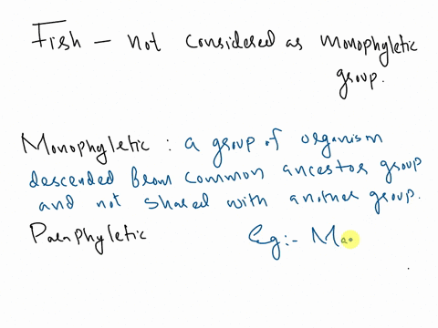 why-fish-not-considered-as-a-monophyletic-group-76534