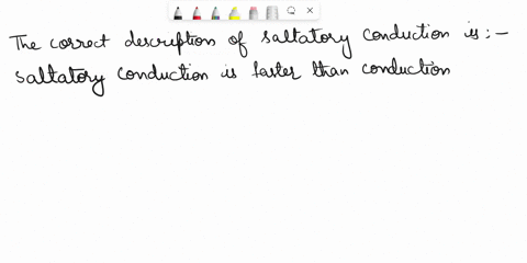 which-one-of-the-following-describes-saltatory-conduction-is-faster-than-conduction-in-an-unmyelinated-fiber-occurs-only-if-the-nodes-of-ranvier-are-abscent-is-slower-than-conduction-in-an-u-80539