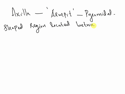 which-is-correct-regarding-the-axilla-choose-the-one-correct-response-regarding-the-axilla-o-athe-axillary-artery-terminates-into-the-subclavian-artery-o-bthe-quadrangular-space-allows-for-t-68624