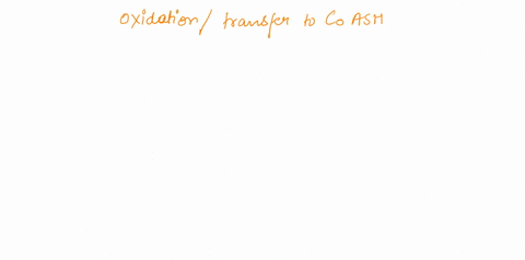 1the-oxidationtransfer-to-coashregeneration-of-lipoic-acid-or-similar-is-a-common-theme-among-enzymes-which-ofthe-following-does-not-share-this-theme-adehydrogenase-balpha-keto-glutarate-deh-38813