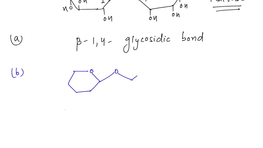 Solved Consider The Disaccharide Below Label Any Acetal And Hemiacetal In The Disaccharide