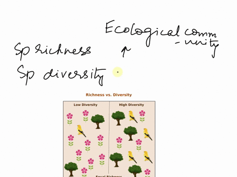 a-community-can-have-high-species-richness-but-low-species-diversity-true-false-79788