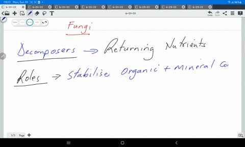 explain-extensively-role-of-fungi-in-agriculture-86572