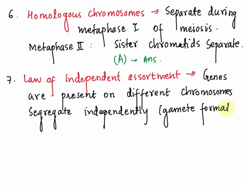 homologous-pairs-ot-chromosomes-separate-from-one-another-at-the-metaphase-plate-of-cell-at-a-metaphase-of-meiosis-b-metaphase-of-mitosis-anaphase-of-meiosis-d-metaphase-ii-of-meiosis-7-whic-23451