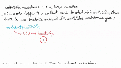 in-the-antibiotic-resistance-example-of-evolution-by-natural-selection-see-ch-7-lecture-slide-10-what-would-happen-if-a-patient-were-treated-with-the-antibiotic-penicillin-and-there-werent-a-60298