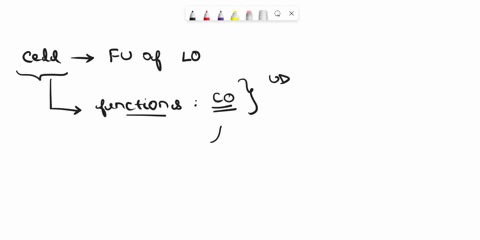 describe-the-major-functions-of-the-cytoplasmic-membrane-99437