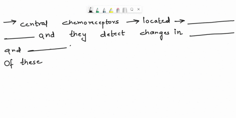 questions-and-they-detect-answer-the-following-located-in-the-concentration-of-1-central-chemoreceptors-are-of-these-the-and-when-the-levels-of-changes-in-increased-monitored-respiration-is-65222
