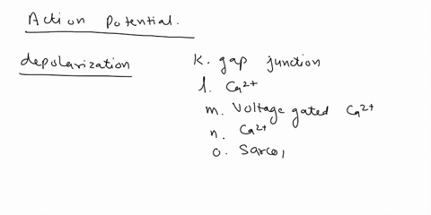 modification-of-heart-rate-theacton-potcntial-isalso-passed-from-autorhythmic-cclls-6rt-and-to-the-contractile-cclls-firstin-the-atria-they-contract-thcn-in-the-ventrickes-they-contract-scco-15103