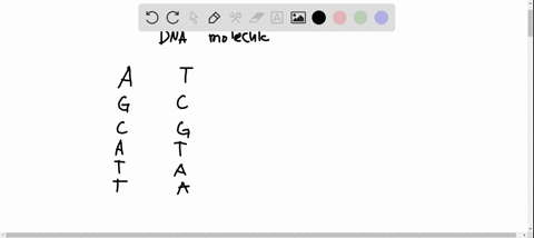 what-type-of-bonds-links-to-nitrogenous-bases-together-between-the-two-strands-in-the-dna-double-helix-phosphodiester-bond-peptide-bond-glycosidic-bond-hydrogen-bond-ionic-bond-71487
