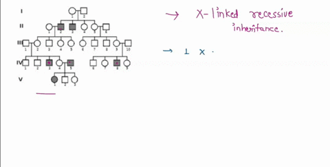 what-is-the-inheritance-pattern-for-the-following-trait-autosomal-dominant-autosomal-recessive-x-linked-recessive-give-evidence-ior-your-answer-inhentance-pallern-explanation-genotypes-of-th-78661