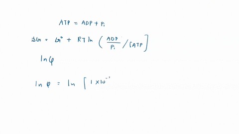 414-the-standard-gibbs-energy-for-the-hydrolysis-of-atp-to-adp-is-31kj-mol-what-is-the-gibbs-energy-of-reaction-in-an-environment-at-37c-in-which-the-atp-adp-and-p-concentrations-are-all-a-1-20166