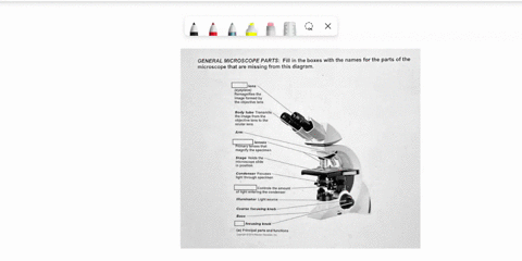general-microscope-parts-fill-in-the-boxes-with-the-names-for-the-parts-of-the-microscope-that-are-missing-from-this-diagram-icns-erepieco-aemagnilles-tno-image-ormed-by-the-oblectve-iont-bo-24732
