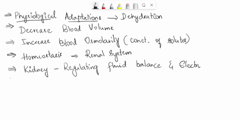 what-physiological-adaptations-occur-during-periods-of-dehydration-specifically-which-physiological-responses-occur-within-the-renal-system-to-help-maintain-homeostasis-be-detailed-in-your-r-79568
