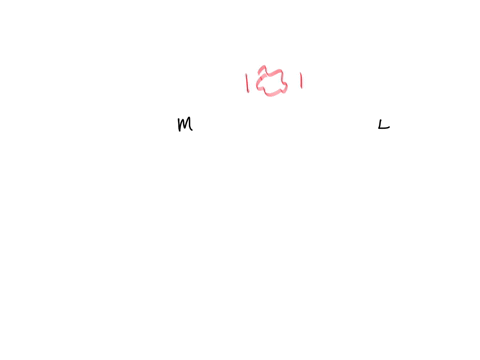 w-mathbf5-mathbfg_text-ll-84-t-azmodernhirecom-some-opening-and-closing-shift-associates-are-upset-with-how-each-group-is-leaving-their-areas-they-disagree-on-who-is-responsible-for-each-task-1-which
