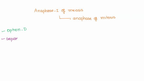 how-does-anaphase-of-meiosis-differ-from-anaphase-of-mitosis-sister-chromatids-line-up-at-the-metaphase-plate-in-meiosis-whereas-homologous-chromosomes-line-up-at-the-center-mitosis-sister-c-07268
