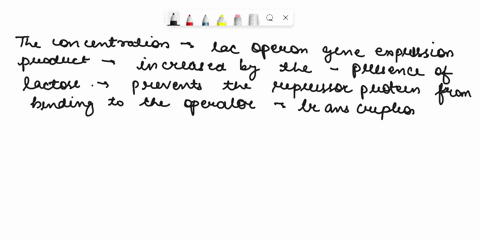 the-lac-operon-contains-three-lacz-lacy-and-iaca-for-b-galactosidase-galactoside-permease-and-transacetylase-respectively-eepe-operon-also-contains-a-promoter-site-and-an-operator-site_-the-12006