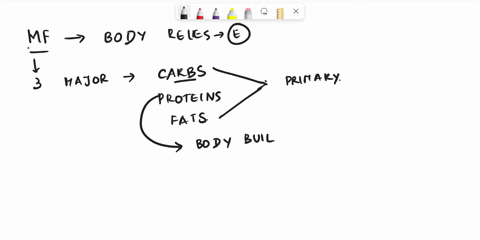 which-one-of-the-following-is-not-a-type-of-metabolic-fuel-molecule-that-can-be-used-by-mammalian-cells-a-glucose-b-ketone-bodies-fatty-acids-d-amino-acids-options-a-d-are-all-metabolic-fuel-28303