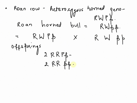in-shorthorn-cattle-coat-colors-are-governed-by-a-codominant-pair-ofalleles-r-and-w-the-homozygous-genotype-rr-produces-red-the-other-homozygote-a-mixture-of-red-and-produces-white-and-the-h-06556