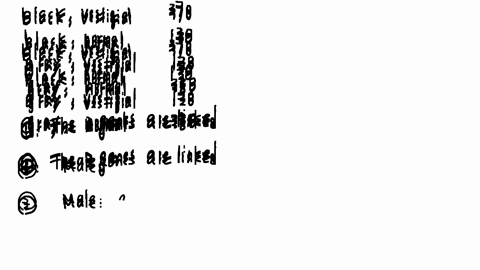recessive-allele-for-black-body-at-dominant-gene-for-gray-body-and-a-male-that-in-the-fruit-fly-drosophila-there-is-and-recessive-allele-for-vestigial-wings-there-i5-dominant-gene-for-normal-32586