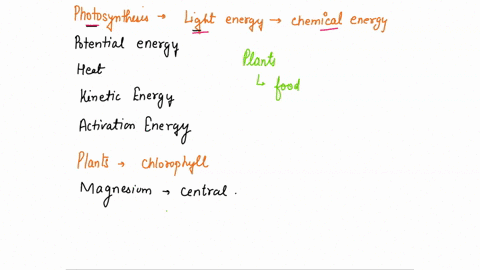 question-42-during-photosynthesis-light-energy-is-converted-into-chemical-energy-which-is-a-type-of-potential-energy-heat-kinetic-encrgy-activation-energy-87042