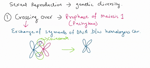 name-the-three-events-associated-with-sexual-reproduction-that-lead-to-genetic-diversity-and-explaln-define-or-describe-the-events-10611