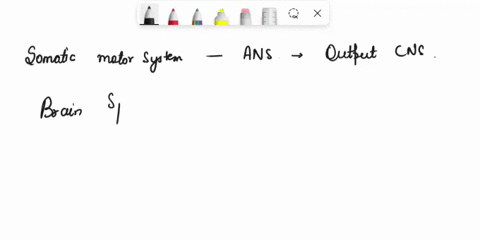 question-the-somatic-motor-system-and-the-ans-constitute-the-total-output-ofthe-cns-true-false-64826