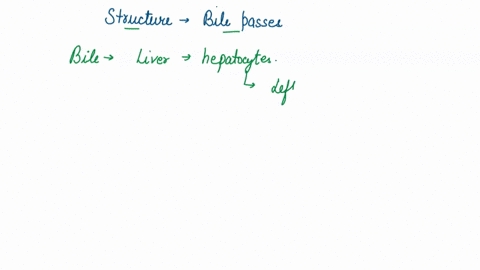 list-the-structures-in-order-that-bile-passes-through-from-its-creation-to-the-duodenum-64748