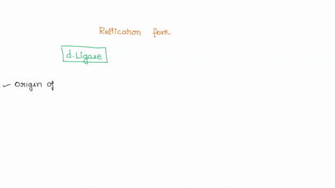 which-of-the-following-components-is-not-involved-during-the-formation-of-the-replication-fork-a-sin-33393
