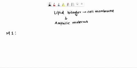 which-of-the-following-molecules-can-self-assemble-to-form-a-lipid-bilayer-when-placed-in-an-aqueous-environment-molecule-1-b-molecule-2-c-molecule-3-d-molecule-4-note-there-are-twqcorrect-o-23384