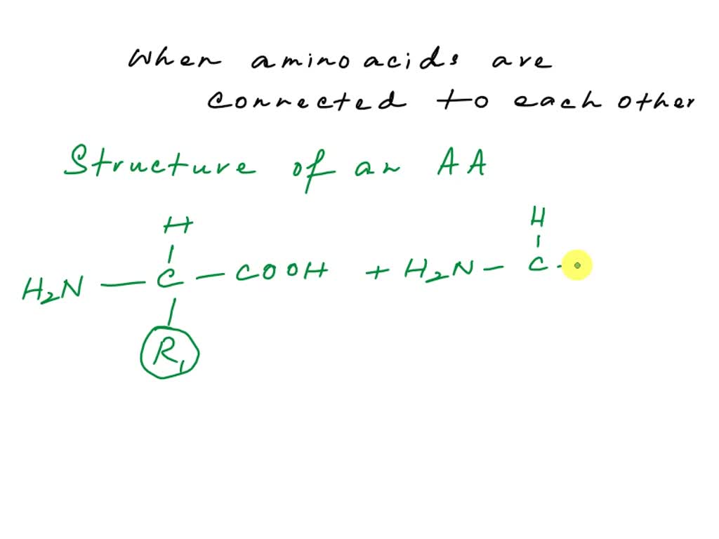SOLVED 10. A bunch of amino acids attached together is called a