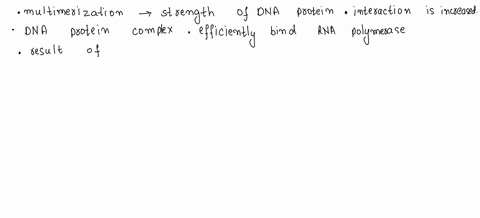 give-two-reasons-why-it-is-advantageous-for-transcription-factors-to-have-a-multimer-as-the-functional-form-60322
