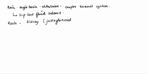 how-does-the-renin-angiotensin-aldosterone-mechanism-function-a-renin-which-is-secreted-by-part-of-t-55442