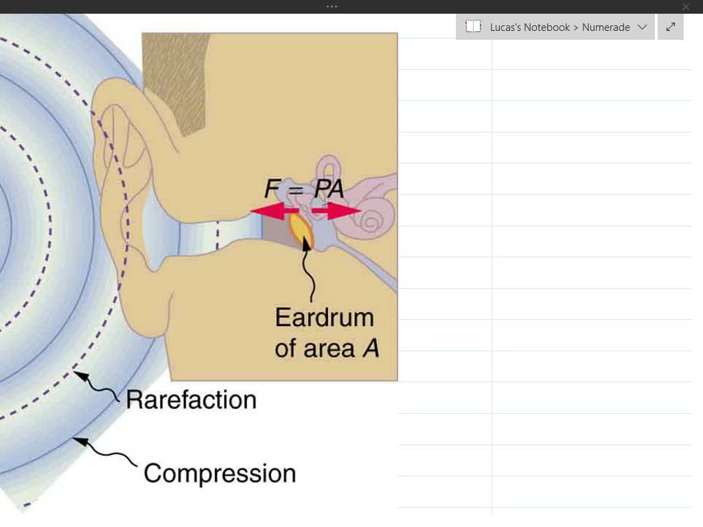 SOLVED The Introduction spoke about a microphone converting sound waves (in air) into