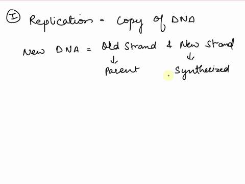 the-process-of-dna-replication-can-be-described-as-select-one-a-semiconservative-and-bilateral-b-semiconservative-and-unilateral-conservative-and-bilateral-d-conservative-and-unilateral-semi-78542